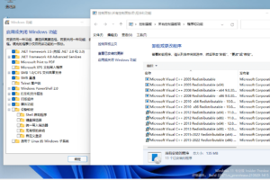 小修Windows11 22000.376专业版